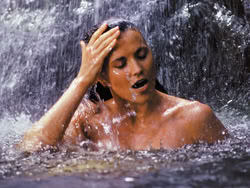 xena_mq_2131n