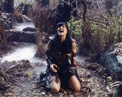 xena_mq_2148n