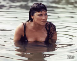 xena_mq_2164n