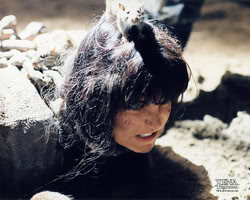 xena_mq_2167n