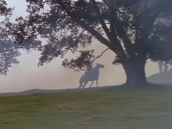 extant_XenaWarriorPrincess_1x01-SinsOfThePast_00035