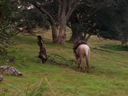 extant_XenaWarriorPrincess_1x01-SinsOfThePast_00179