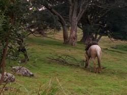 extant_XenaWarriorPrincess_1x01-SinsOfThePast_00181