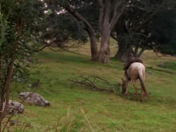 extant_XenaWarriorPrincess_1x01-SinsOfThePast_00184