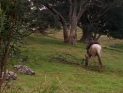 extant_XenaWarriorPrincess_1x01-SinsOfThePast_00185