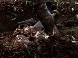 extant_XenaWarriorPrincess_1x01-SinsOfThePast_00189