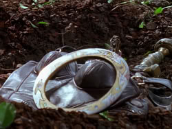 extant_XenaWarriorPrincess_1x01-SinsOfThePast_00193