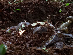 extant_XenaWarriorPrincess_1x01-SinsOfThePast_00198