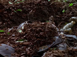 extant_XenaWarriorPrincess_1x01-SinsOfThePast_00201