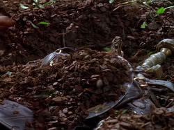 extant_XenaWarriorPrincess_1x01-SinsOfThePast_00202
