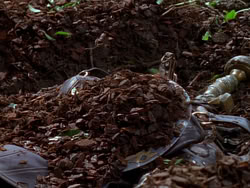 extant_XenaWarriorPrincess_1x01-SinsOfThePast_00203