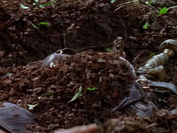 extant_XenaWarriorPrincess_1x01-SinsOfThePast_00205