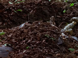 extant_XenaWarriorPrincess_1x01-SinsOfThePast_00207