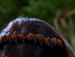 extant_XenaWarriorPrincess_1x01-SinsOfThePast_00208