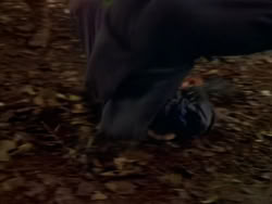 extant_XenaWarriorPrincess_1x01-SinsOfThePast_00303