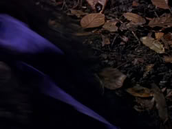 extant_XenaWarriorPrincess_1x01-SinsOfThePast_00336