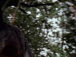 extant_XenaWarriorPrincess_1x01-SinsOfThePast_00406