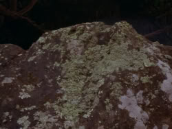 extant_XenaWarriorPrincess_1x01-SinsOfThePast_00428
