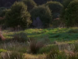 extant_XenaWarriorPrincess_1x01-SinsOfThePast_01279