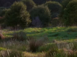 extant_XenaWarriorPrincess_1x01-SinsOfThePast_01281