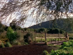 extant_XenaWarriorPrincess_1x01-SinsOfThePast_01294