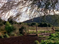 extant_XenaWarriorPrincess_1x01-SinsOfThePast_01297