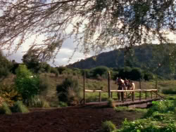 extant_XenaWarriorPrincess_1x01-SinsOfThePast_01314