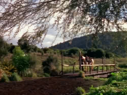 extant_XenaWarriorPrincess_1x01-SinsOfThePast_01316