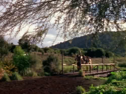 extant_XenaWarriorPrincess_1x01-SinsOfThePast_01317