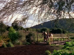 extant_XenaWarriorPrincess_1x01-SinsOfThePast_01318