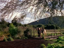 extant_XenaWarriorPrincess_1x01-SinsOfThePast_01319