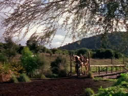 extant_XenaWarriorPrincess_1x01-SinsOfThePast_01320