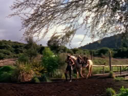 extant_XenaWarriorPrincess_1x01-SinsOfThePast_01324