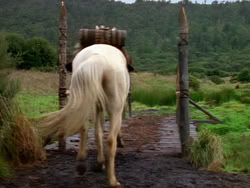 extant_XenaWarriorPrincess_1x01-SinsOfThePast_01336