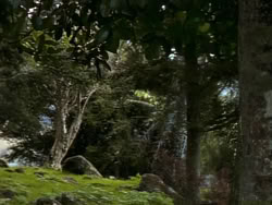 extant_XenaWarriorPrincess_1x01-SinsOfThePast_01671
