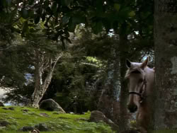 extant_XenaWarriorPrincess_1x01-SinsOfThePast_01673