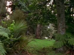 extant_XenaWarriorPrincess_1x01-SinsOfThePast_01690