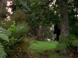 extant_XenaWarriorPrincess_1x01-SinsOfThePast_01691