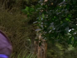 extant_XenaWarriorPrincess_1x01-SinsOfThePast_01711