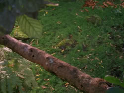 extant_XenaWarriorPrincess_1x01-SinsOfThePast_01720