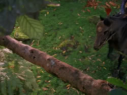 extant_XenaWarriorPrincess_1x01-SinsOfThePast_01721