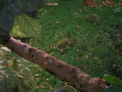 extant_XenaWarriorPrincess_1x01-SinsOfThePast_01724