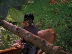 extant_XenaWarriorPrincess_1x01-SinsOfThePast_01731