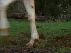 extant_XenaWarriorPrincess_1x01-SinsOfThePast_01755