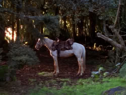 extant_XenaWarriorPrincess_1x01-SinsOfThePast_01777