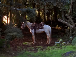 extant_XenaWarriorPrincess_1x01-SinsOfThePast_01778