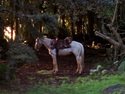 extant_XenaWarriorPrincess_1x01-SinsOfThePast_01779