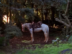 extant_XenaWarriorPrincess_1x01-SinsOfThePast_01780