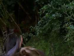 extant_XenaWarriorPrincess_1x01-SinsOfThePast_01791
