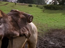extant_XenaWarriorPrincess_1x01-SinsOfThePast_02142
